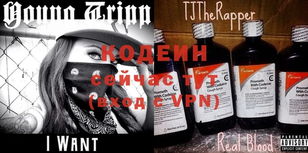 молекула духа Белокуриха