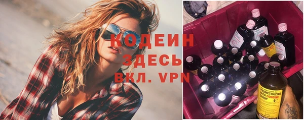 индика Семилуки