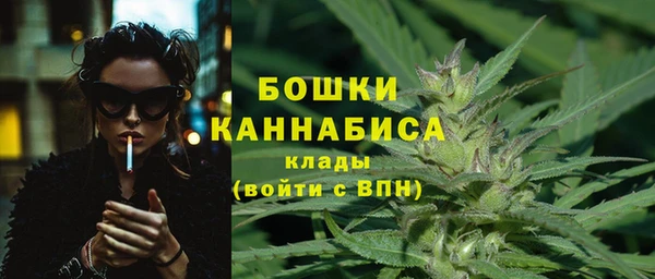 эйфоретик Беломорск