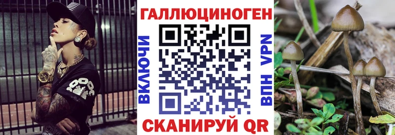 Галлюциногенные грибы Psilocybe  Магас 